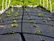 Тканина AGRO чорна 1.6 x 10 м щільність 70 г/м&sup2; FLO 91046 91046 фото 5