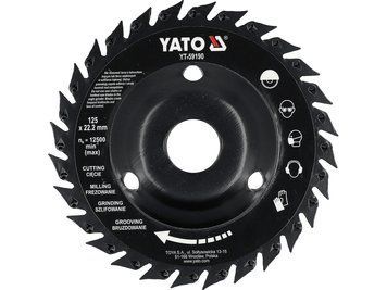 Рашпиль і пиляльне полотно 125 мм для КШМ YATO YT-59190 YT-59190 фото