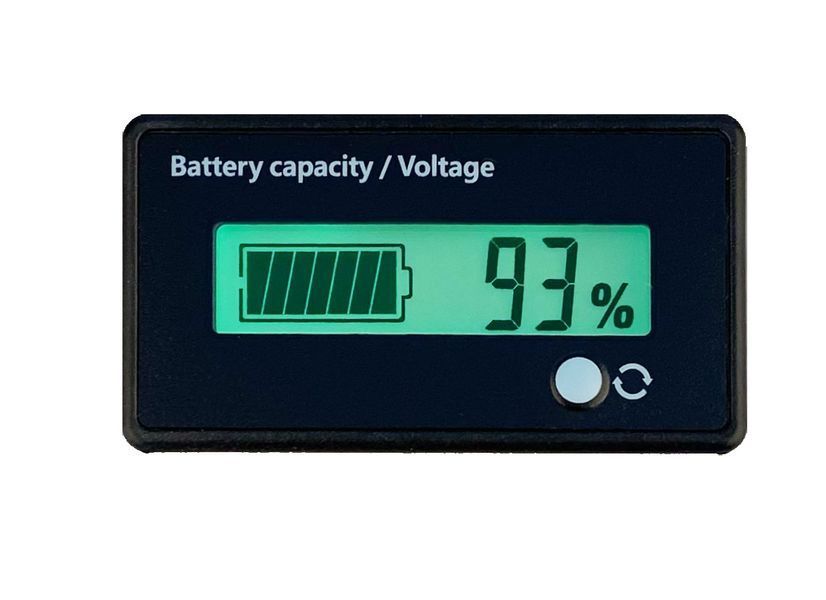 Акумулятор LiFePo4 100Аг 100А 12В BMS з індикатором VOLT POLSKA 6AKLI10L12 AKU65 фото